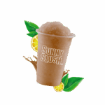 SUN-SL5-08 (1).png