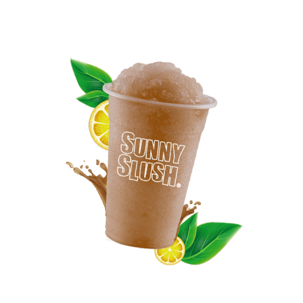 SUN-SL5-08 (1).png