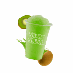 SUN-SL5-10 (1).png