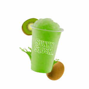 SUN-SL5-10 (1).png