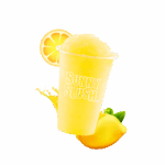 SUN-SL5-12 (1).png