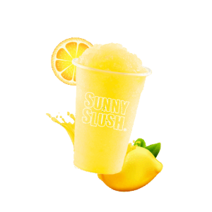 SUN-SL5-12 (1).png