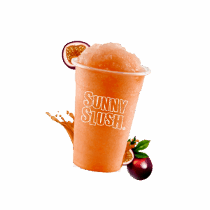 SUN-SL5-19 (1).png