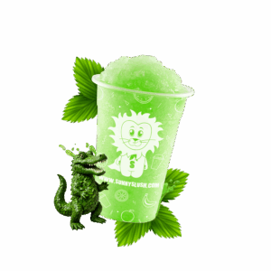 SUN-SL1-P03