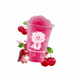 SUN-SL1-P04