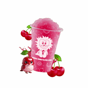 SUN-SL1-P04