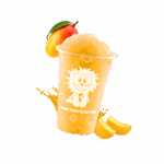 SUN-SL5-P23