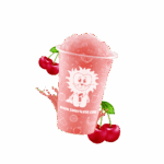SUN-SL5-F04