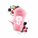 SUN-SL1-C02