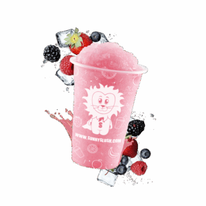 SUN-SL1-C02