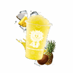 SUN-SL1-C04