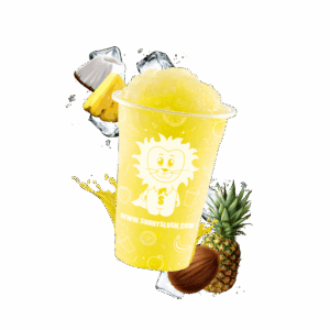 SUN-SL1-C04