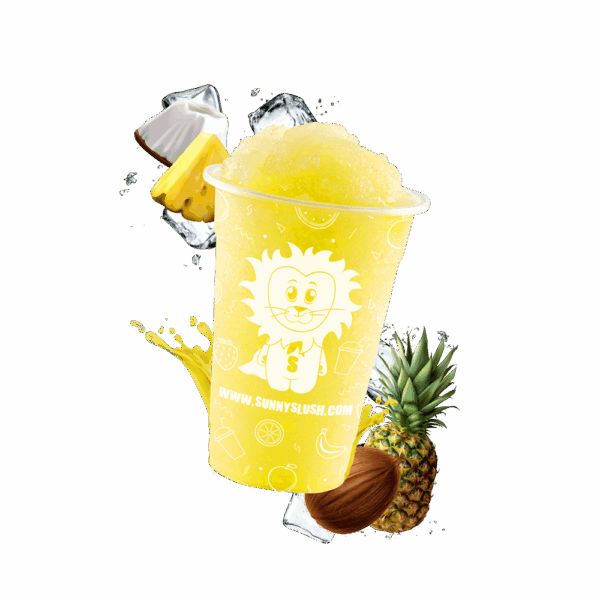 SUN-SL1-C04