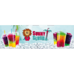 SUN-MA-U31 (1)