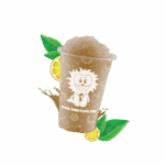 SUN-SL5-08_1.png