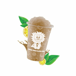 SUN-SL5-08_1.png