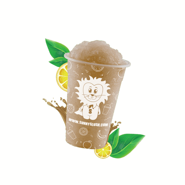 SUN-SL5-08_1.png